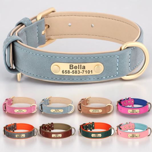 Custom Engraved Dog Collar